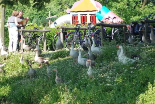 Sluis-waterfietsen